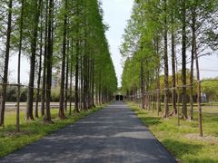 -歌斐颂巧克力小镇