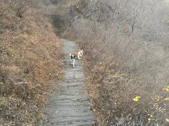 -南窖乡水峪村山情农家