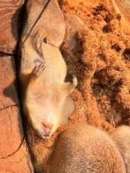 -Zoolung Zoolung动物主题公园(海信广场店)