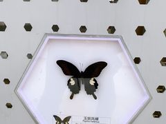 -明蜀王陵(地铁站)