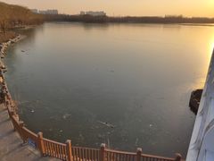 -大兴滨河森林公园