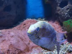 -多彩贵州城极地海洋世界