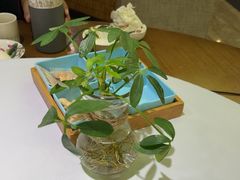 -春满园·邯郸菜发祥地(滏东店)