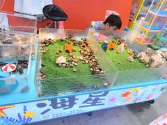 -大学城夜市
