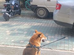 -联合动物医院(光谷诊疗中心)