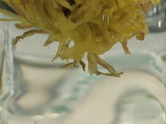 -好灶头铁锅炖(万象城店)