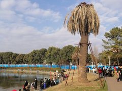 -美兰湖景区