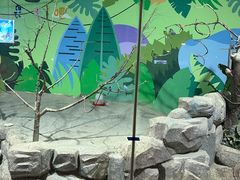 -秦皇岛新澳海底世界