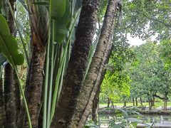 -人民公园(罗湖区)