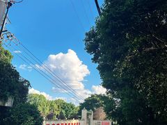 -铁山坪森林公园