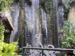 -西双版纳原始森林公园