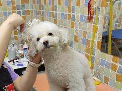 -宠颐生猫科·内科皮肤科(西平世纪城店)