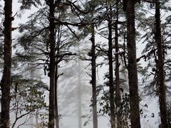 -瓦屋山景区