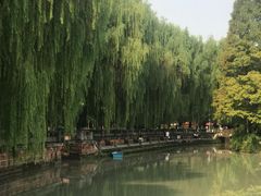 -温江公园