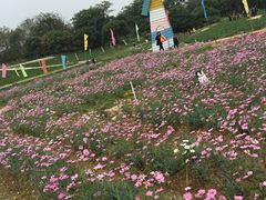 -松山湖梦幻百花洲