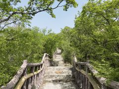 -圣莲山风景区