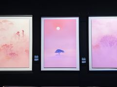 -罗红摄影艺术馆