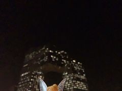 -中央广播电视总台(光华路办公区)