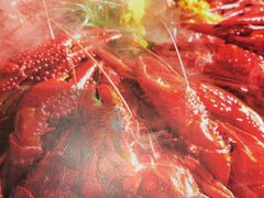 -杨氏青龙虾·羊蝎子(托乐嘉店)