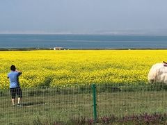 -青海湖国家重点风景名胜区