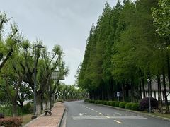-太阳岛度假酒店