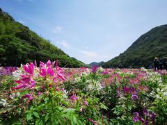 -广州市石门国家森林公园