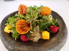 鲜银耳蔬菜沙拉-蝶舍·MAISON PAPILLON