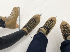 -世界之窗阿尔卑斯冰雪世界