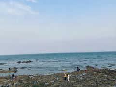 -养马岛旅游度假区
