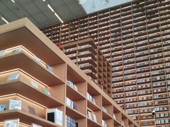 -朵云书院(滴水湖店)