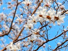 -狼山风景名胜区