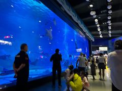 -烟台海昌鲸鲨海洋公园