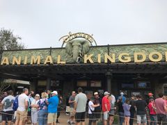 -奥兰多迪士尼动物王国乐园