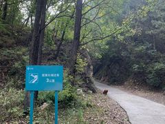 -北京山里寒舍度假酒店