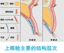 -丰联丽格医疗美容·联合丽格眼整形中心