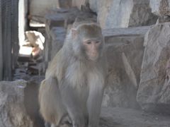 -河北村民俗体验园