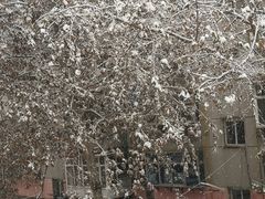 -燕风楼烤鸭店(建设总店)