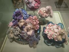 -济州岛泰迪熊博物馆