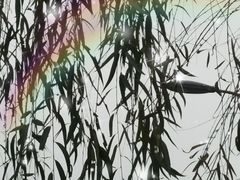 -重庆彩云湖湿地公园