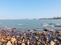-野狸岛