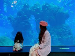 -成都浩海立方海洋公园