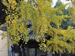 -无锡惠山寺