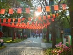 -上海吴淞炮台湾国家湿地公园