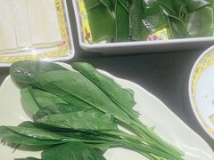 -芦月轩羊蝎子(劲松店)