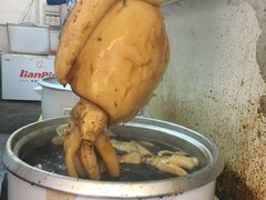 -大澳渔村及棚屋