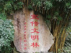 -邓小平故里