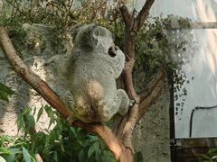 -红山森林动物园