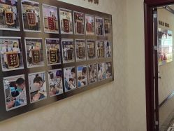 -南京医科大学友谊整形外科医院