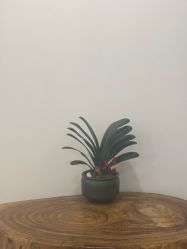 -御品•瑶浴灸疗SPA