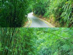 -沐川竹海旅游景区